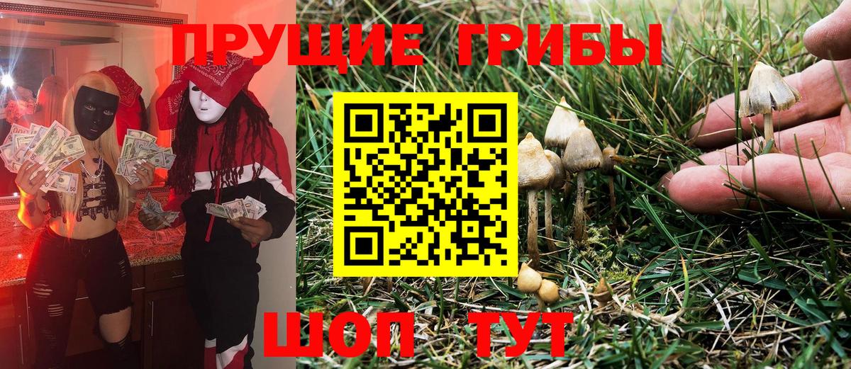 Галлюциногенные грибы мухоморы  Галлюциногенные грибы MAGIC MUSHROOMS  Киров  Вход с VPN 